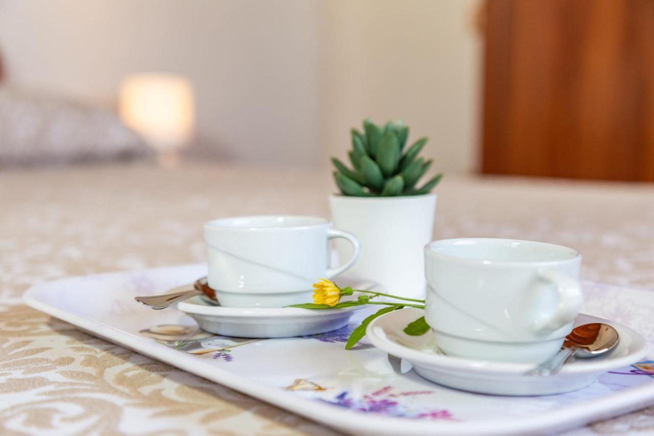 산타마리아나바레제 Casa Orfea 아파트 외부 사진